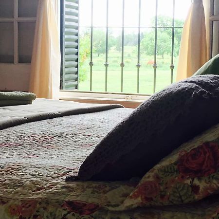 The Polo House Bed & Breakfast Пилар Екстериор снимка