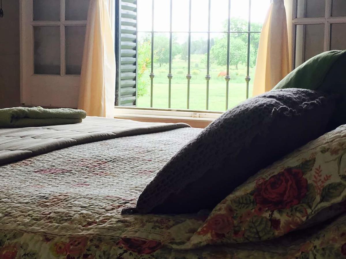 The Polo House Bed & Breakfast Пилар Екстериор снимка
